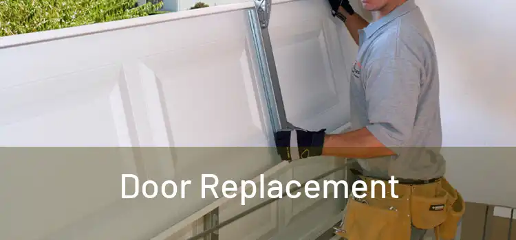  Door Replacement 