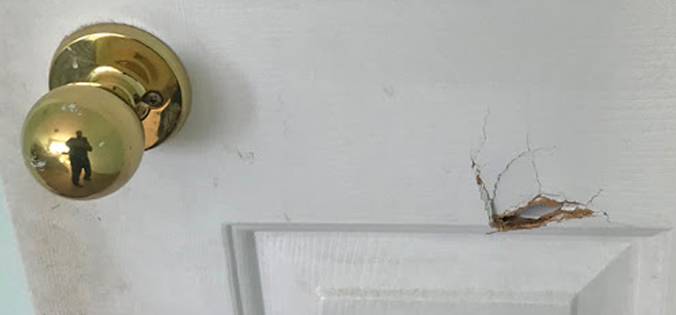 interior door hole repair Foster City