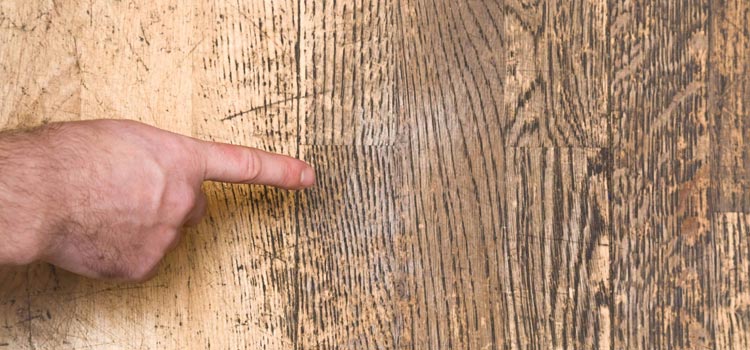 Wood Door Scratch Repair in Foster City